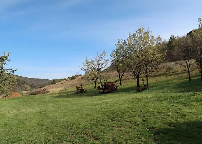 Holiday home L'amandier By Interhome Oraison