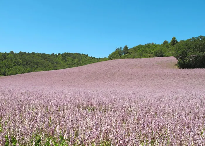 L'amandier By Interhome Holiday home Oraison